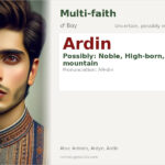 Ardin Name Meaning and Details