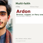 Ardon Name Meaning and Details