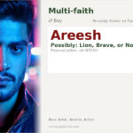 Areesh Name Meaning and Details