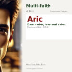 Aric Name Meaning and Details