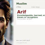 Arif Name Meaning and Details
