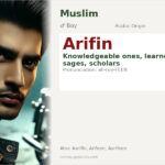 Arifin Name Meaning and Details