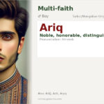 Ariq Name Meaning and Details