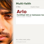 Arlo Name Meaning and Details