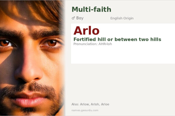 Arlo Name Meaning — Origin, Gender & Details (2025)