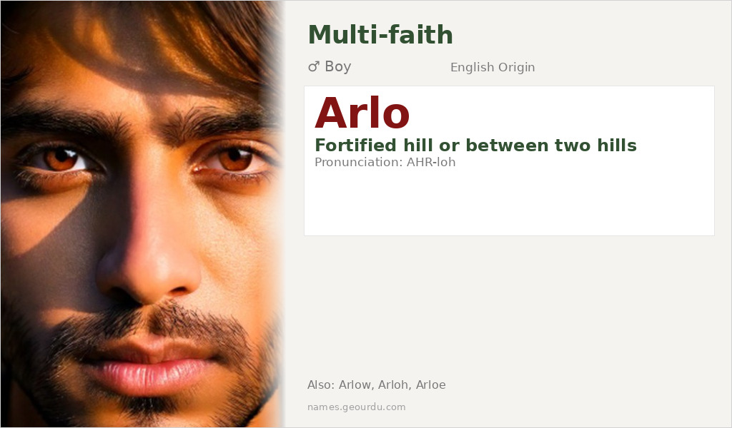 Arlo Name Meaning and Details