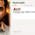 Arri Name Meaning and Details