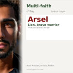 Arsel Name Meaning and Details