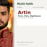 Artin Name Meaning and Details