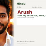 Arush Name Meaning and Details