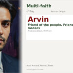 Arvin Name Meaning and Details