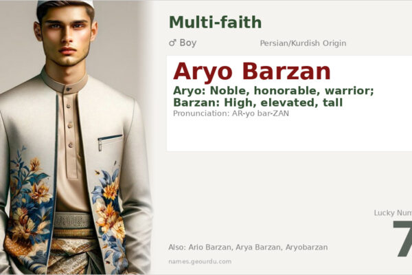 Aryo Barzan Name Meaning — Persian/Kurdish Origin, Boy Name & Details (2025)