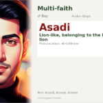 Asadi Name Meaning and Details