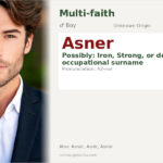 Asner Name Meaning and Details
