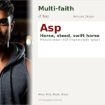 Asp Name Meaning and Details