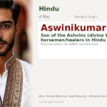 Aswinikumar Name Meaning and Details