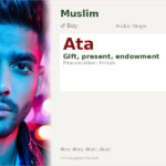 Ata Name Meaning and Details