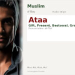 Ataa Name Meaning and Details