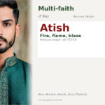 Atish Name Meaning and Details