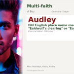 Audley Name Meaning and Details