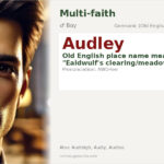 Audley Name Meaning and Details