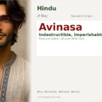 Avinasa Name Meaning and Details