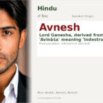 Avnesh Name Meaning and Details