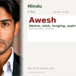 Awesh Name Meaning and Details