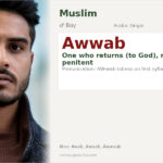 Awwab Name Meaning and Details