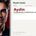 Aydin Name Meaning and Details
