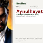 Aynulhayat Name Meaning and Details
