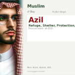 Azil Name Meaning and Details