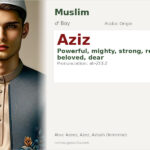 Aziz Name Meaning and Details