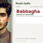 Babbagha Name Meaning and Details