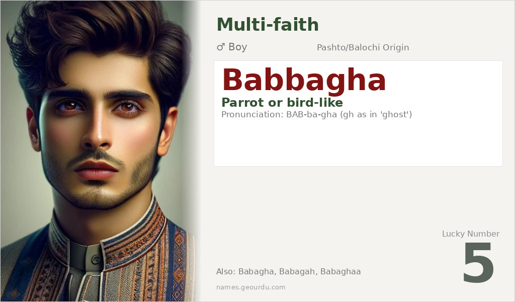 Babbagha Name Meaning and Details