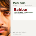 Babbar Name Meaning and Details