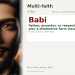 Babi Name Meaning and Details