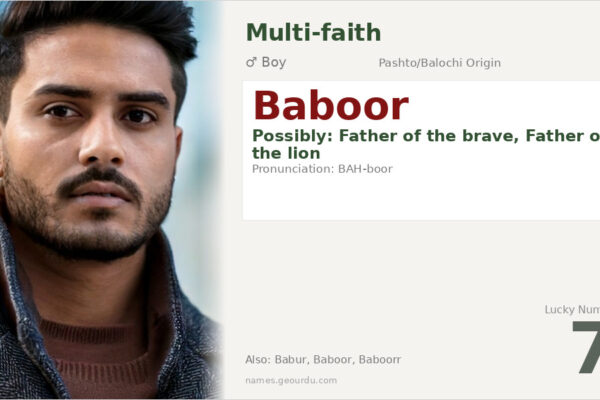 Baboor Name Meaning — Origin, Gender & Details (2025)