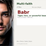 Babr Name Meaning and Details