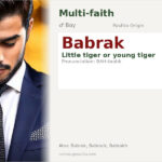 Babrak Name Meaning and Details