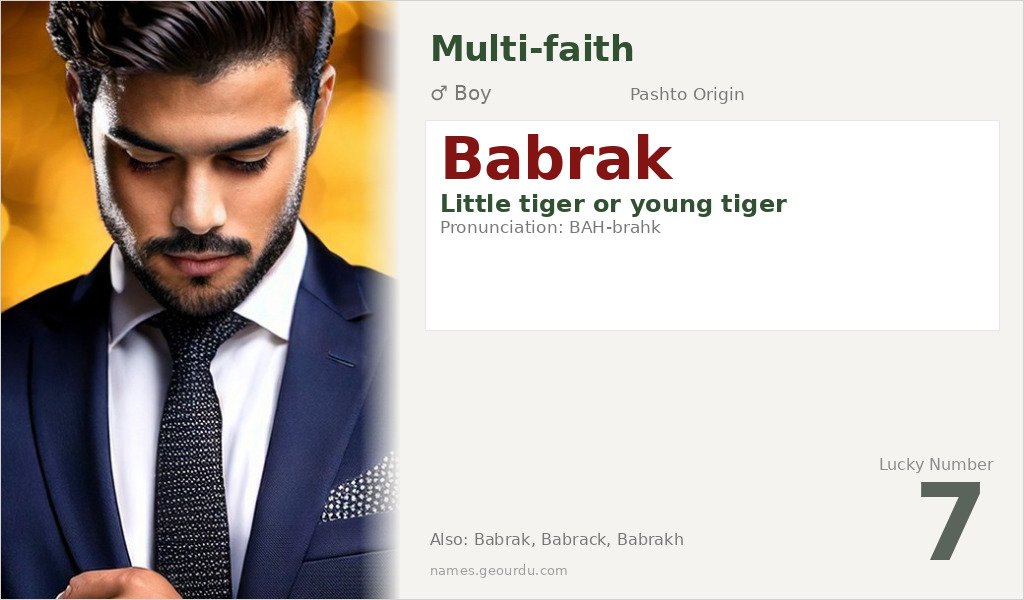 Babrak Name Meaning and Details