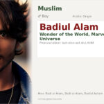 Badiul Alam Name Meaning and Details