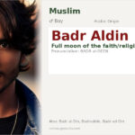 Badr Aldin Name Meaning and Details
