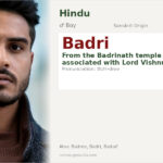 Badri Name Meaning and Details
