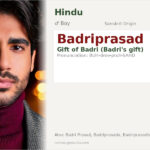 Badriprasad Name Meaning and Details