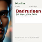 Badrudeen Name Meaning and Details