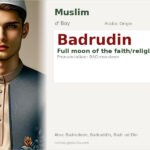 Badrudin Name Meaning and Details