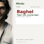 Baghel Name Meaning and Details