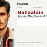 Bahaaldin Name Meaning and Details