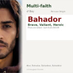 Bahador Name Meaning and Details